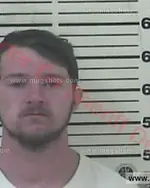 Booking photo of Holden Marshall Ledford, Carter County, Feb 10, 2017