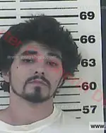 Booking photo of Gregory Lee Carrier, Carter County, Jun 13, 2016