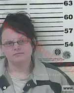 Booking photo of Ashlee Sue Townsend-Branch, Carter County, May 21, 2018