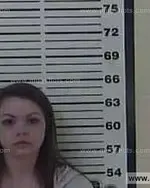 Booking photo of Ashley Elizabeth Monk, Carter County, Apr 3, 2014