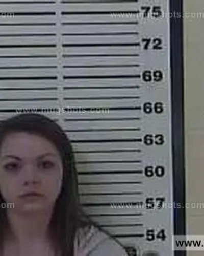 Booking photo of Ashley Monk, Carter County, Apr 3, 2014