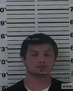 Booking photo of Logan Todd Loveless, Carter County, Jun 3, 2013