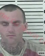 Booking photo of Ricky Dean Ward, Carter County, Feb 2, 2018