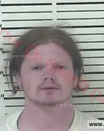 Booking photo of Austin Blake Fields, Carter County, Jun 30, 2016