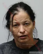 Booking photo of Onda Lea Wilson, Carter County, May 6, 2019