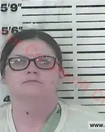 Booking photo of Ashlee Alaine Allebaugh, Carter County, Jun 17, 2018