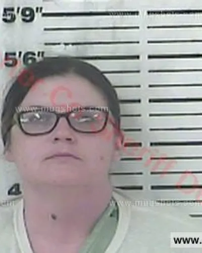 Booking photo of Ashlee Alaine Allebaugh, Carter County, Jun 17, 2018
