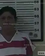 Booking photo of Cynthia Ann Andes, Carter County, Jul 10, 2014