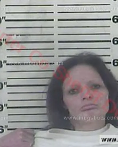 Booking photo of Terry Loiuse Vanosdol, Carter County, Mar 1, 2018