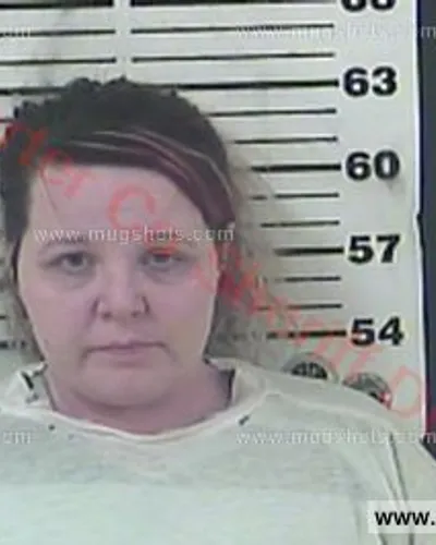 Booking photo of Rebekah Cook, Carter County, Feb 3, 2016