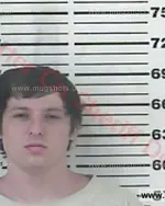 Booking photo of Keaton Myson Burgess, Carter County, Jun 25, 2018