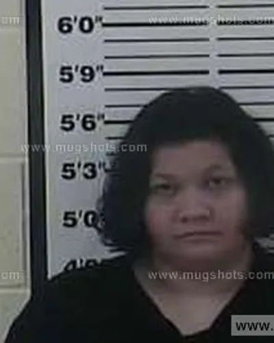 Booking photo of GINGER L HUDSON, Carter County, Dec 19, 2013