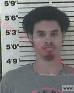 Booking photo of George Joshua Harrison, Carter County, Mar 12, 2016