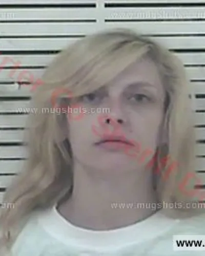 Most recent booking photo for Hannah Leah Bise