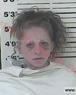 Booking photo of SYLVIA LOUISE REECE, Carter County, Jun 18, 2016