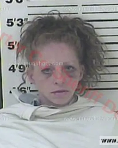 Booking photo of SYLVIA LOUISE REECE, Carter County, Jun 18, 2016