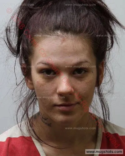 Booking photo of Suzanne Nichole Blevins, Carter County, Nov 29, 2018