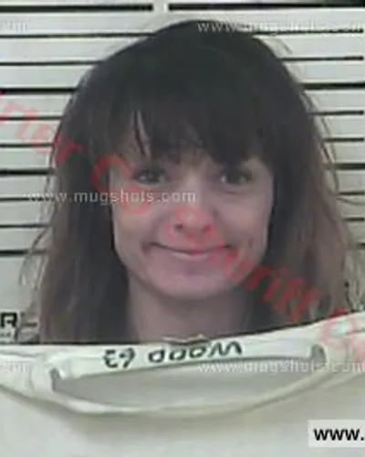 Booking photo of Tonya Marann Goulds, Carter County, Jul 14, 2017