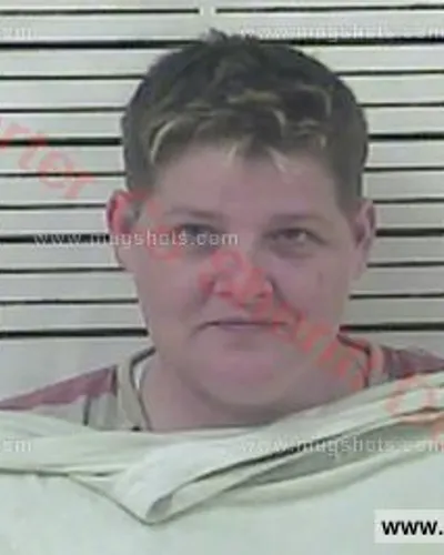 Booking photo of Selena Michelle Fenner, Carter County, Aug 21, 2017