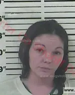 Booking photo of Megan Marie Kay Chorvas, Carter County, Apr 18, 2017