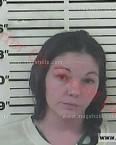 Booking photo of Megan Marie Kay Chorvas, Carter County, Apr 18, 2017