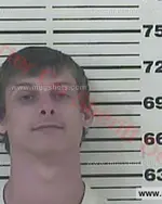 Booking photo of Ryan Cain Dixon JR, Carter County, Jun 14, 2017