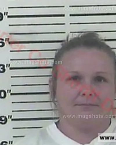 Booking photo of Rebecca Diane Bennett, Carter County, Aug 20, 2016