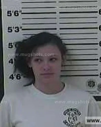 Booking photo of Elizabeth Nicole Riddle, Carter County, Feb 16, 2014
