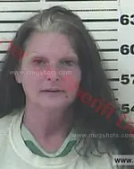 Booking photo of Kimberly Ann Gibson, Carter County, Jan 24, 2017