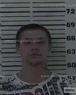 Booking photo of Heath Edward Mckeehan, Carter County, Feb 27, 2015