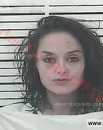 Booking photo of Whitney Brooks Pinkston, Carter County, Dec 17, 2016