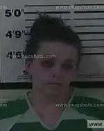 Booking photo of Cristin Kimberly Nave, Carter County, Jan 23, 2015