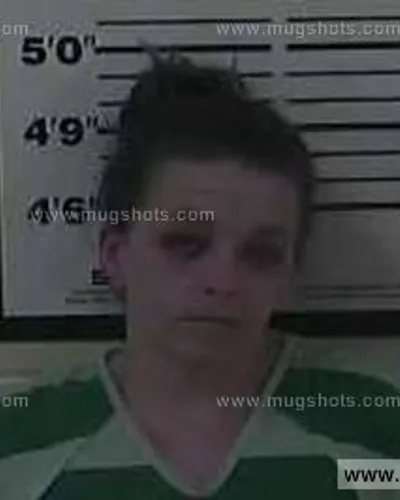 Booking photo of Cristin Kimberly Nave, Carter County, Jan 23, 2015