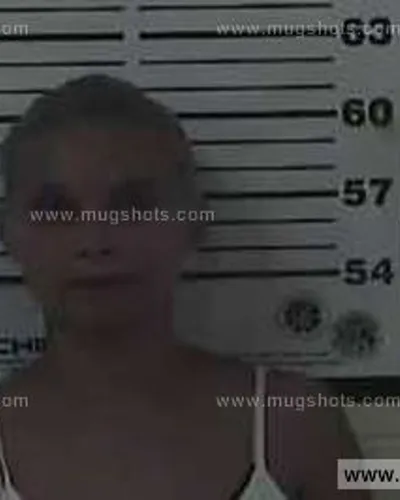 Booking photo of Ashley Nicole Watson, Carter County, Aug 1, 2014