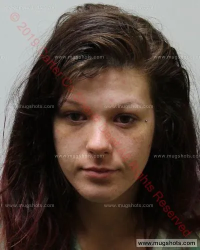 Booking photo of Suzanne Nichole Blevins, Carter County, May 28, 2019