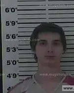 Booking photo of Nicholas Britt, Carter County, Feb 8, 2014