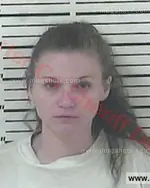 Booking photo of Meredith Anne Gentry-Deloach, Carter County, Nov 26, 2015