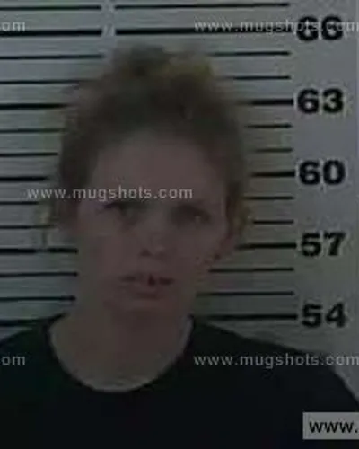 Booking photo of Ashley D Johnson, Carter County, Aug 24, 2013