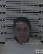 Booking photo of Nanette Elizabeth Newton, Carter County, Apr 17, 2014