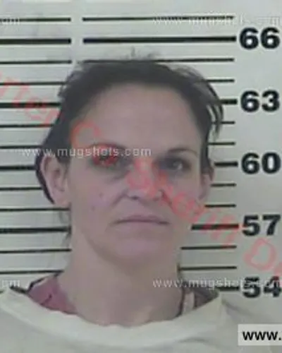 Booking photo of Tammie Elizabeth Blevins, Carter County, Dec 4, 2016