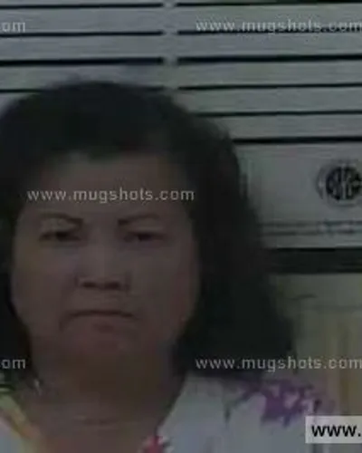 Booking photo of Bich Carpenter, Carter County, Aug 28, 2013