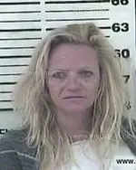 Booking photo of Sandy Marie Mitchell, Carter County, Jun 21, 2015