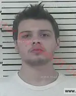 Booking photo of Landon Kaleb Ambers White, Carter County, Jan 27, 2017