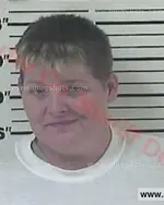 Booking photo of Selena Michelle Fenner, Carter County, Jul 16, 2017