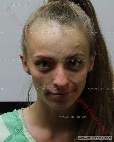 Booking photo of ASHLEY N ROBINSON, Carter County, Apr 4, 2019