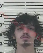 Booking photo of Donald Charles James Arnett, Carter County, Feb 8, 2017