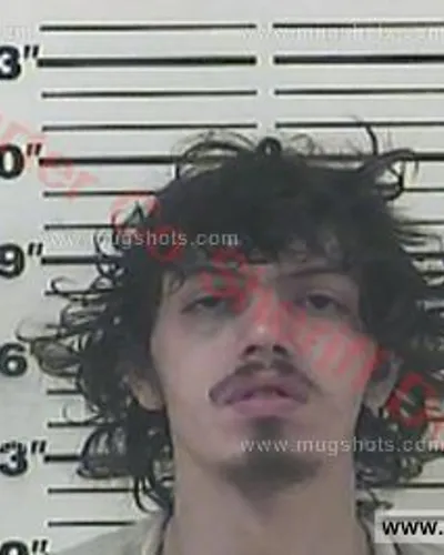 Booking photo of Donald Charles James Arnett, Carter County, Feb 8, 2017