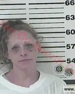 Booking photo of SYLVIA LOUISE REECE, Carter County, Jul 4, 2016