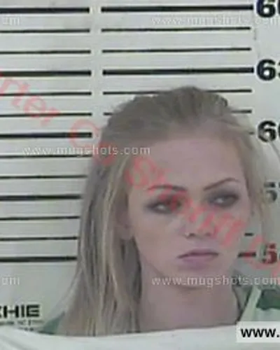 Booking photo of Lauren Collins, Carter County, Nov 18, 2017