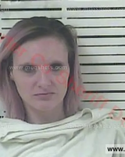 Booking photo of Blaine Langworthy, Carter County, Jan 20, 2017